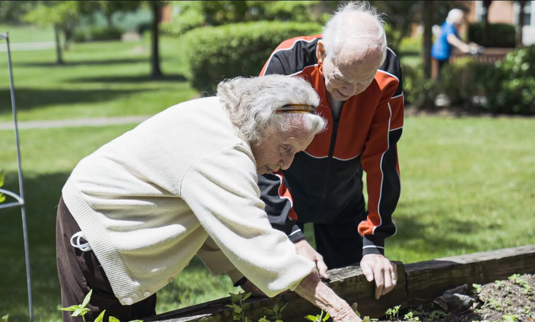 4 Reasons Seniors Choose an Independent Living Lifestyle