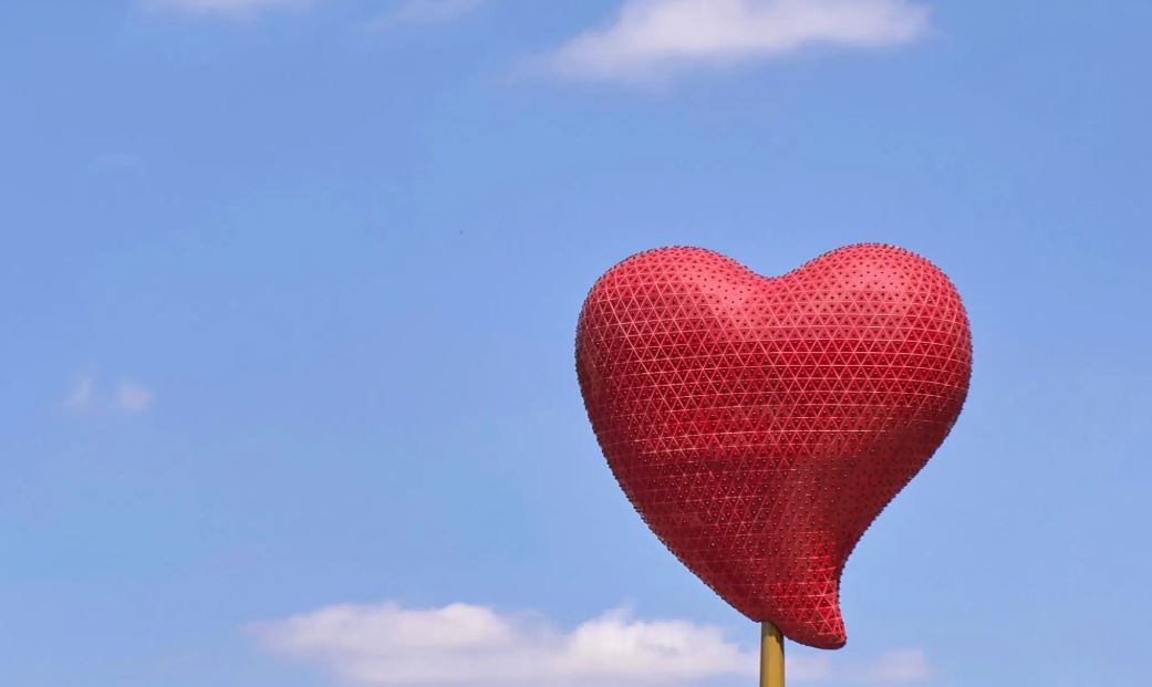 American Heart Month: Tips to Avoid Heart Disease