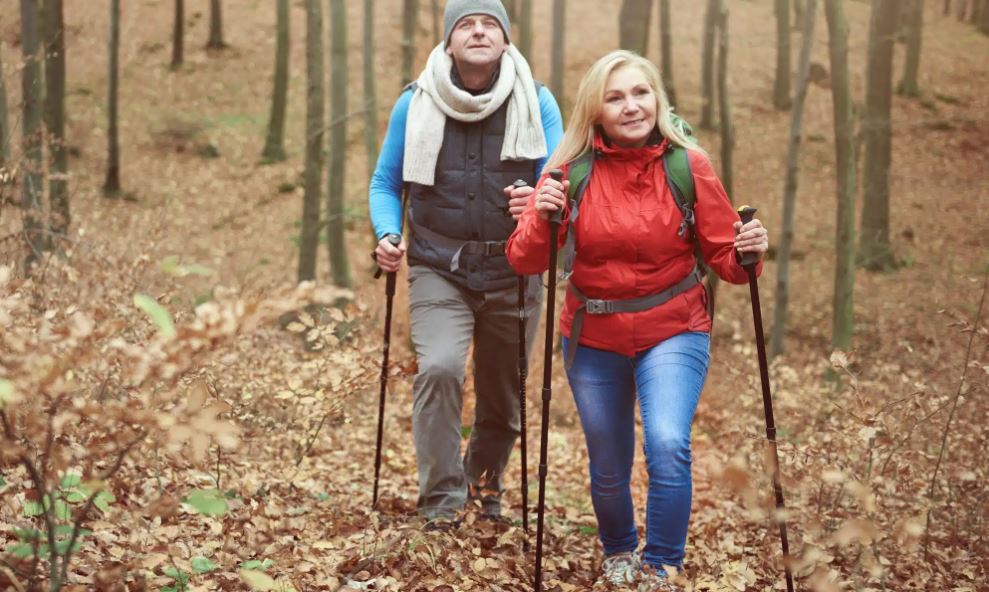 Fall Activities and Hobbies for Seniors