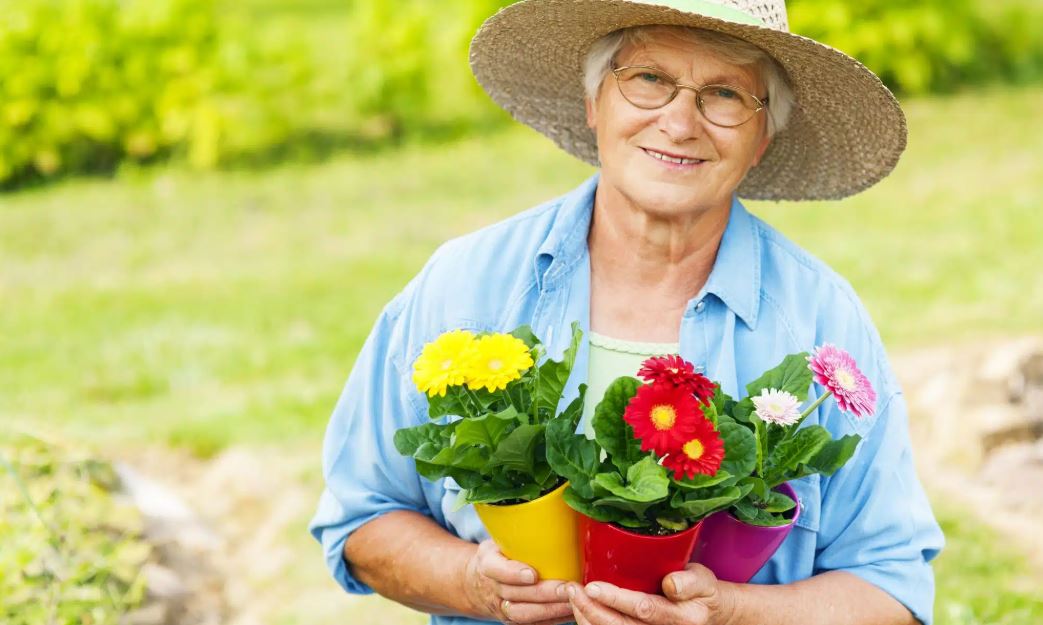 Gardening for Wellness in Senior Living