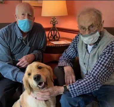 The Benefits of Pet Therapy for Seniors