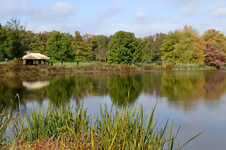 What’s There To Do Near Lester Senior Living?